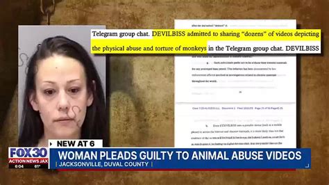 animal crush videos|Florida Woman Pleads Guilty to Conspiracy To Create, Distribute Animal.